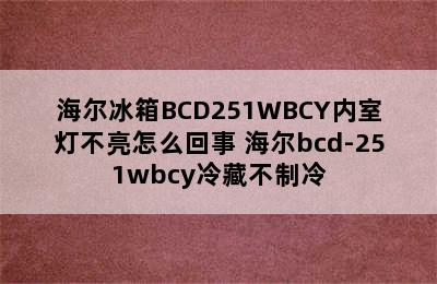 海尔冰箱BCD251WBCY内室灯不亮怎么回事 海尔bcd-251wbcy冷藏不制冷